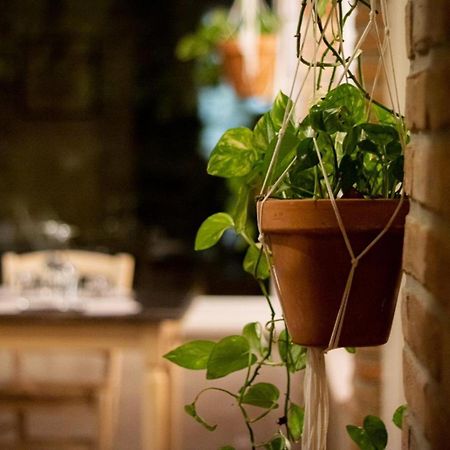 Agricola Casa Cucina Bottega Villa Чезена Екстериор снимка