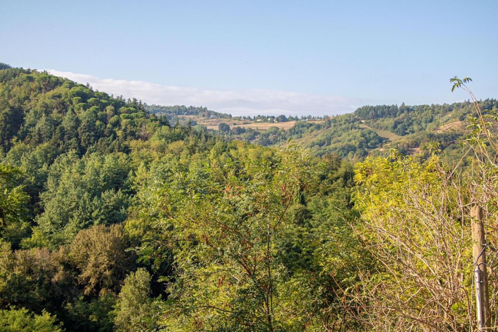 Agricola Casa Cucina Bottega Villa Чезена Екстериор снимка