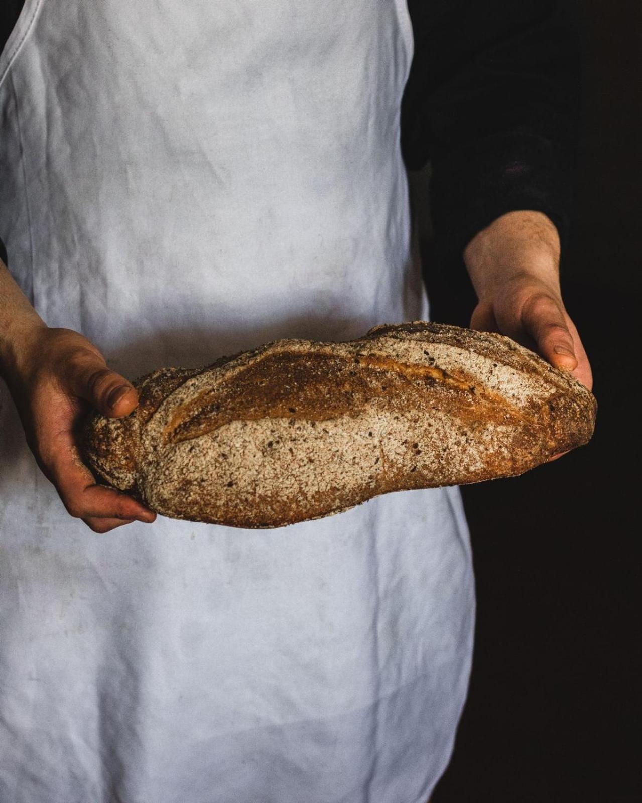 Agricola Casa Cucina Bottega Villa Чезена Екстериор снимка