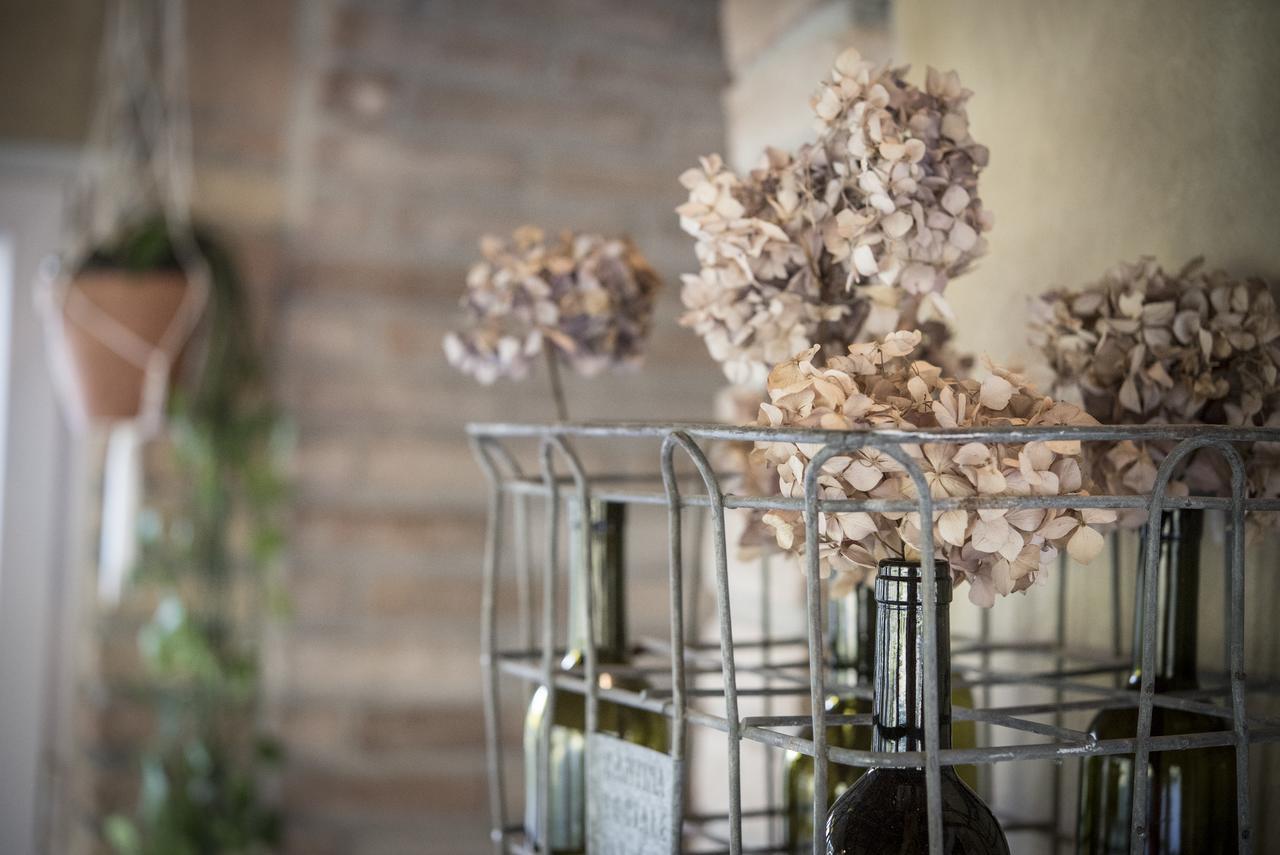 Agricola Casa Cucina Bottega Villa Чезена Екстериор снимка